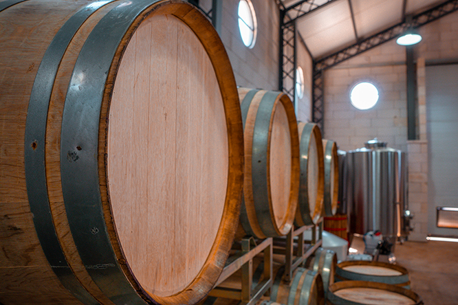 Degustación de vinos Bodega Gamboa